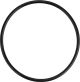 O-Ring for Intake Valve Cover