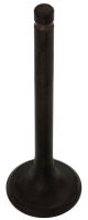Valve, Exhaust, 1 Piece