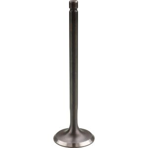 Valve, Intake, 1 Piece