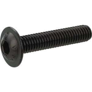M6x30 Pan-head Allen Screw, A2 stainless steel with flange, black