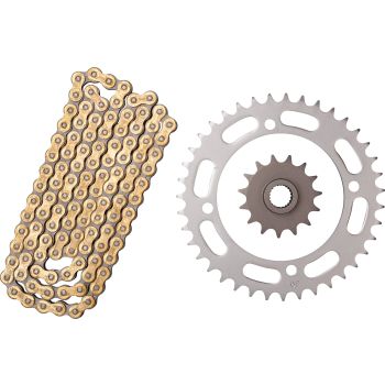X-Ring Chain Kit 15/39 (102 Links, endless G&B) DID520VX3, Fine Geared Shaft
